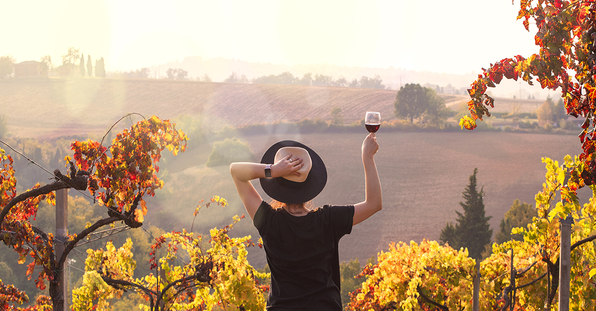 How Independent Winemakers are using eCommerce to take back Control of their Future