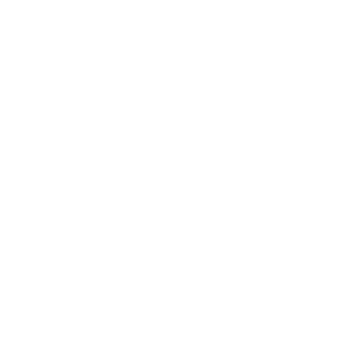Sydney Based App Business and Local Entrepreneur Dressium worked with Remap to drive brand awareness and App installs across Facebook and Instagram (this is their white logo)