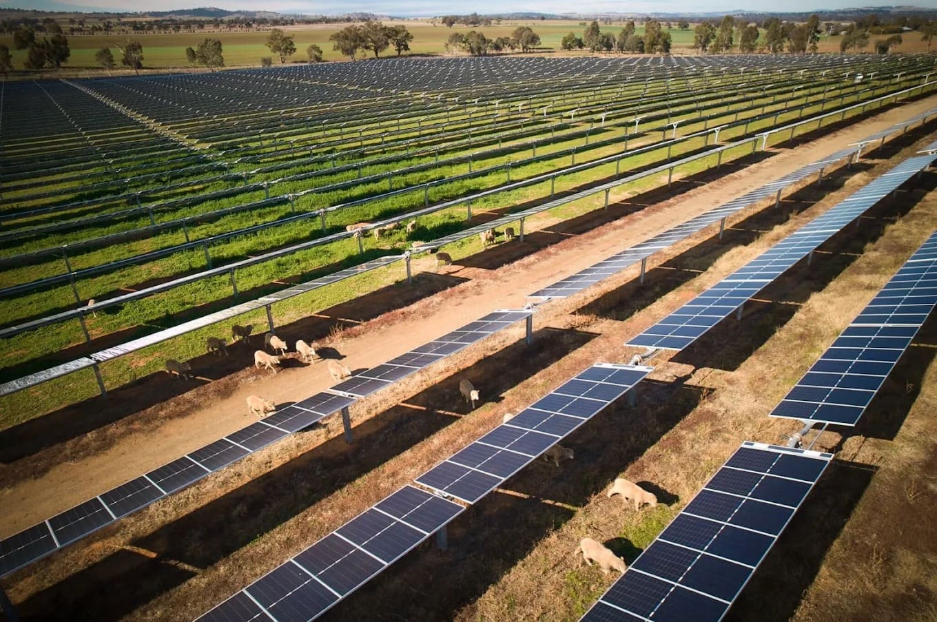 Renewable Energy Solar Farm