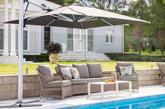 Shelta-Cover-Image-2024